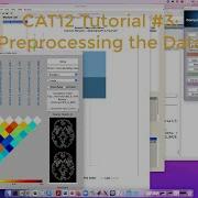 CAT12 Tutorial 3 Preprocessing