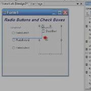 03 02 Radio Buttons Vs Check Boxes