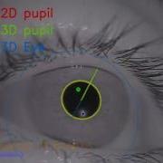 Fast Accurate Open Source Eye Tracking