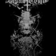 Witch Tomb Black Fornicator