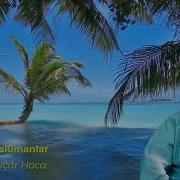 Korkak Müslümanlar Timurtaş Hoca