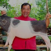 WHOLE PIG Cooking So Yummy BEST Spicy Recipe EVER Uncle Rural Gourmet