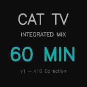 Cat TV Mouse Pointer Series Marathon 60 Minutes Of Cursor Fun Videos For Cats To Watch