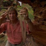 Austin Stevens Adventures Australia S Lost Eden