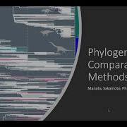 Phylogenetic Comparative Methods
