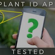 What Plant Identifier App Is Best I Tested Them