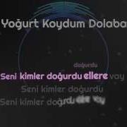 Yoğurt Koydum Dolaba
