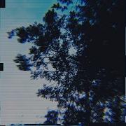 Fracture
