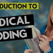 INTRODUCTION TO MEDICAL CODING What Is A Medical Coder And What Do They Do Beginner Guide