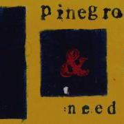 Pinegrove Need 2