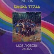 ВИА Синяя птица Моя любовь жива LP 1981