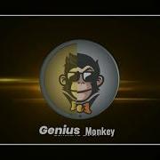 Genius Monkey Intro Animation