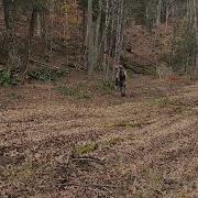 Quickdraw Paintball At The Brass Holler