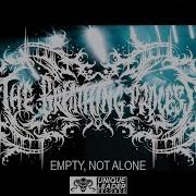 The Breathing Process Empty Not Alone Official Video