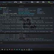 Pentesting Microsoft SQL Server In Windows Active Directory Cyberseclabs Mount