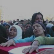 Mesut Dağlı Sarı Çiğdemim