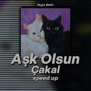 Çakal Aşk Olsun Speed Up
