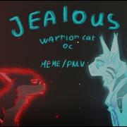 JEALOUS Meme Pmv Warrior Cats Oc