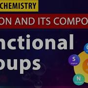 Carbon And Its Compounds Class 10th Chemistry CBSE Syllabus Functional Groups NCERT