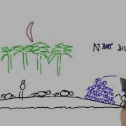 Coconuts 1 CS373 Unit 2 Udacity