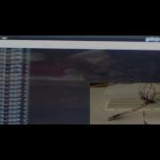 Raspberry Pi With Analog Temperature Sensor