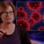 What Is A Virus EXPLAINED Microbiologist Joanna Shisler