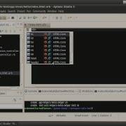 Ruby On Rails Aptana Studio 3 Ubuntu