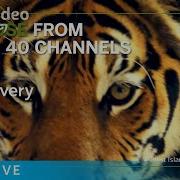 Welcome To Amazon Channels Prime Video