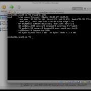 Mininet Installation Instructions