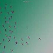 Flocking Algorithm