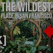 4K Tripping Thru The Conservatory Of Flowers In Golden Gate Park San Francisco