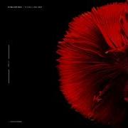 Pinkspine Vampires Red Eclipse Recordings