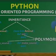 Working With Inheritance In Python OOP Part 2