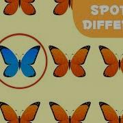 Guess The Odd One Out Visual Attention Skills For Kids International Environment Day