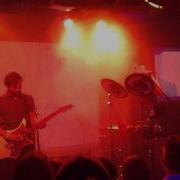 Дельфин QT Live 16 тонн 11 04 14