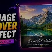 Create A Stunning Image Hover Effect With HTML CSS