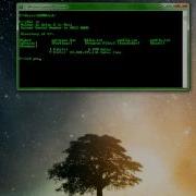 Dos Commands Part 1 Basic