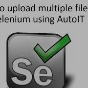 How To Upload Multiple Files In Selenium Using AutoIT
