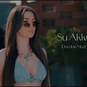 Su Akkuyu Duydun Mu Cover
