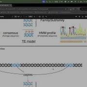 2025 Spring Bioinformatics Genomics From Data Analysis To AI Applications De Novo Detection