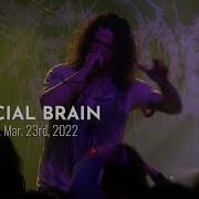 ARTIFICIAL BRAIN Live At Saint Vitus Bar Mar 23rd 2022 FULL SET