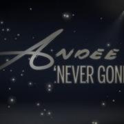 Andee Never Gone