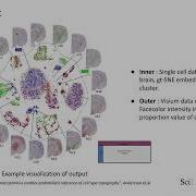 09 Celltype Deconvolution Overview