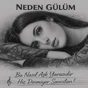 Neden Gülüm Psychedelic Anatolian Rock Cover Psychedelicrock Anatolianrock