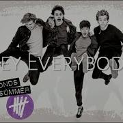 5 Seconds Of Summer Hey Everybody Lyrics