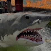 Jaws On The Studio Tour Universal Mega Movie Summer 2025