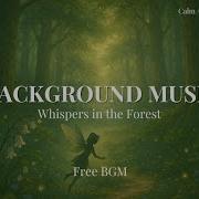 Free BGM Whispers In The Forest Echo Music Lab