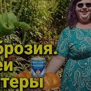Хейтеры змеи и амброзия Что окружает фрика юмор психология волчица