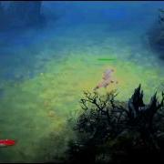 Diablo 3 CRAZY Nemesis Spawn