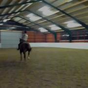 P1010563 MOV